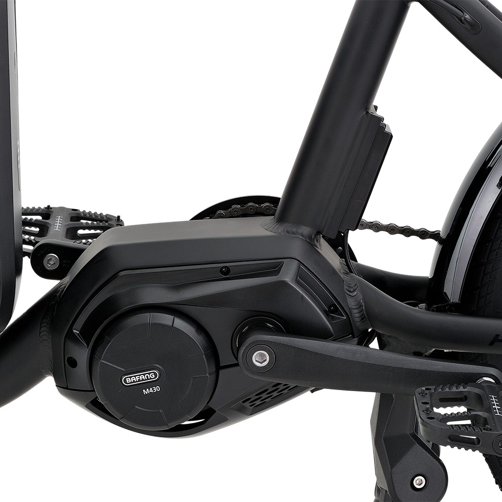 Atmose P-Range ESP3 Electric Family Cargo Bike for Kids and Pet Transport