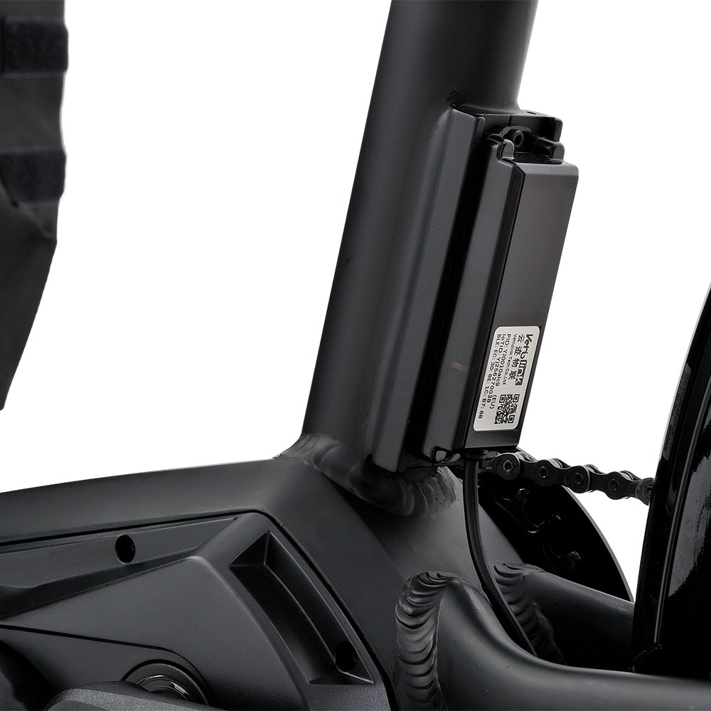 Atmose P-Range ESP3 Electric Family Cargo Bike for Kids and Pet Transport