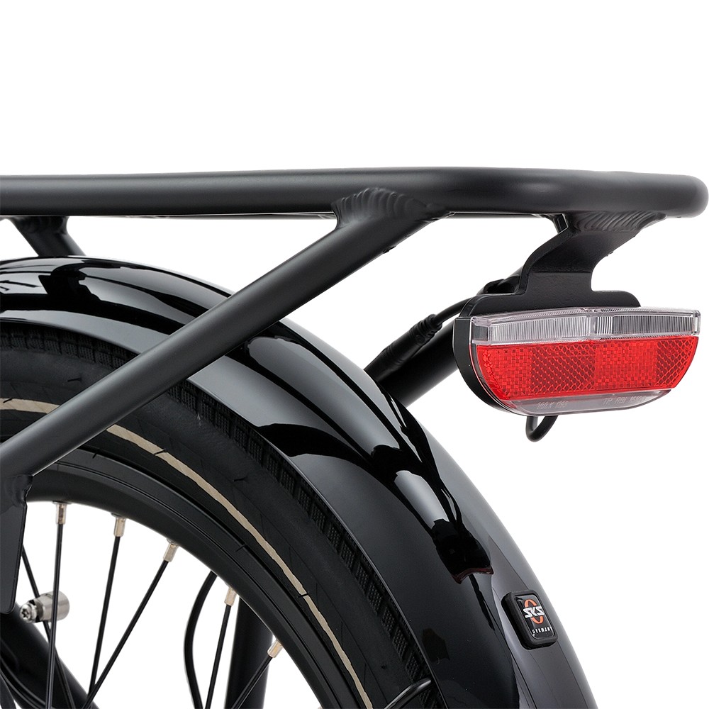 Atmose P-Range ESP3 Electric Family Cargo Bike for Kids and Pet Transport