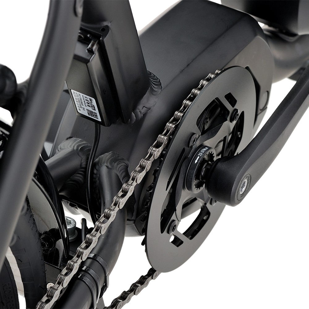 Atmose P-Range ESP3 Electric Family Cargo Bike for Kids and Pet Transport