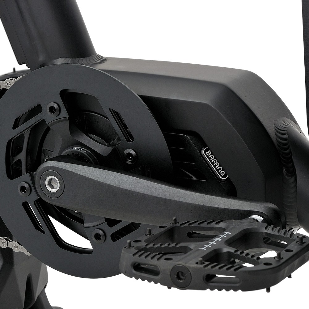 Atmose P-Range ESP3 Electric Family Cargo Bike for Kids and Pet Transport