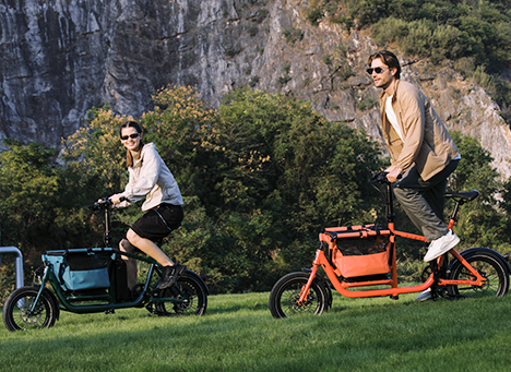 Cargo bike ESQ1 (Q-Range)